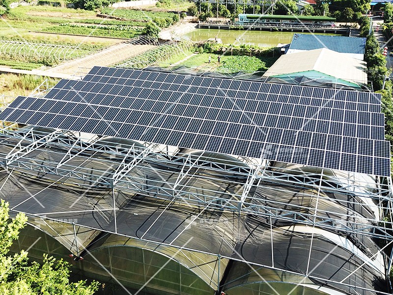 湖北DB视讯绿色能源有限公司