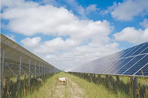 湖北DB视讯绿色能源有限公司