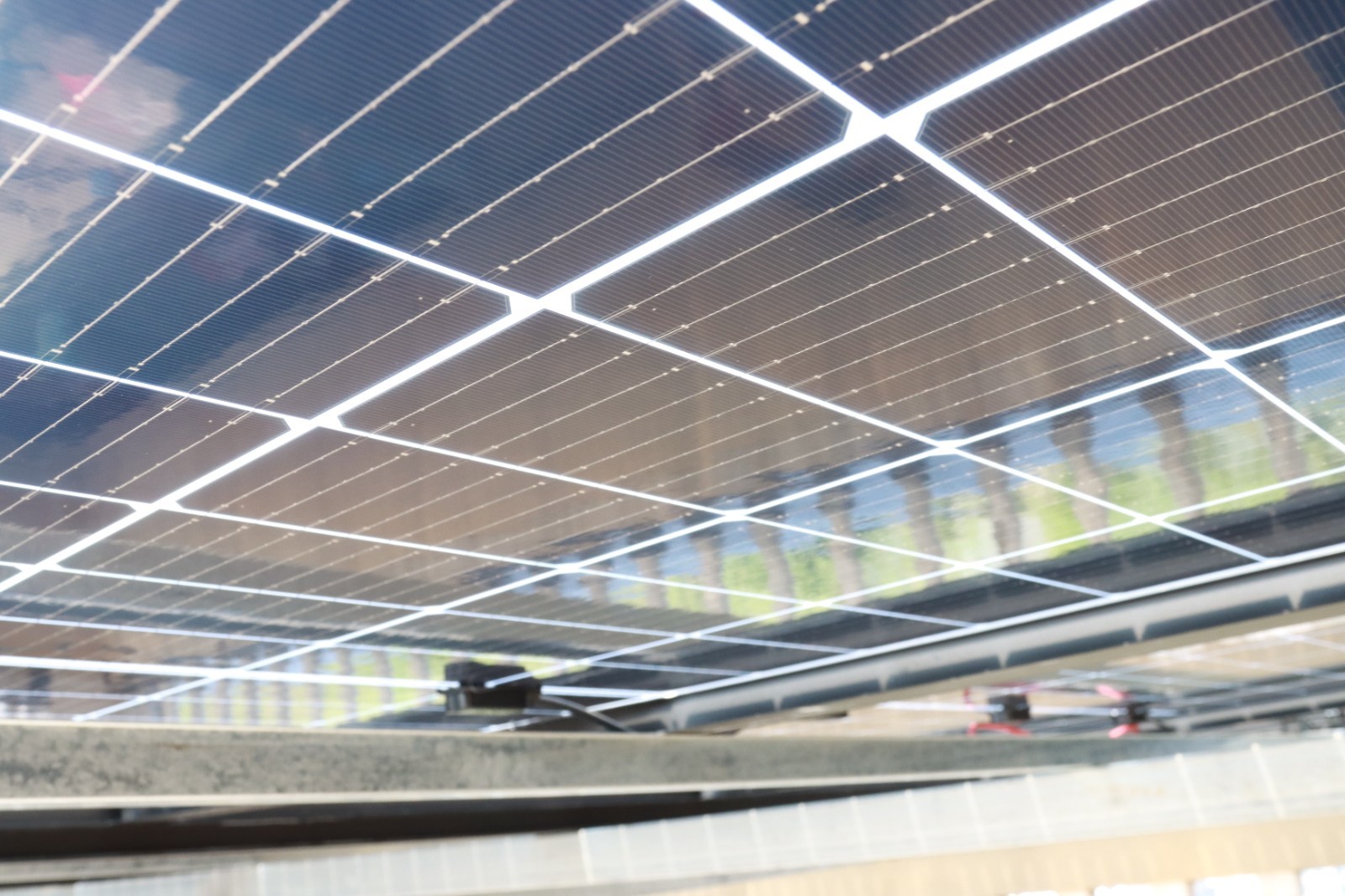 湖北DB视讯绿色能源有限公司