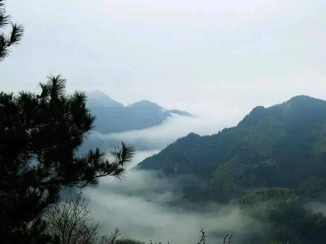 湖北DB视讯绿色能源有限公司