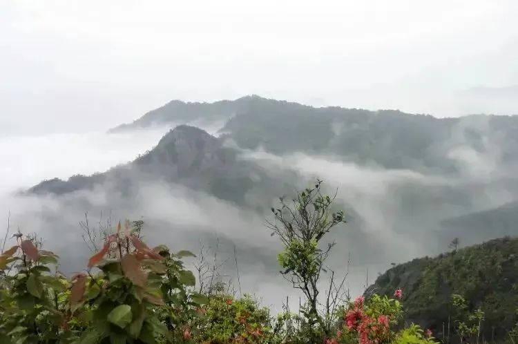 湖北DB视讯绿色能源有限公司