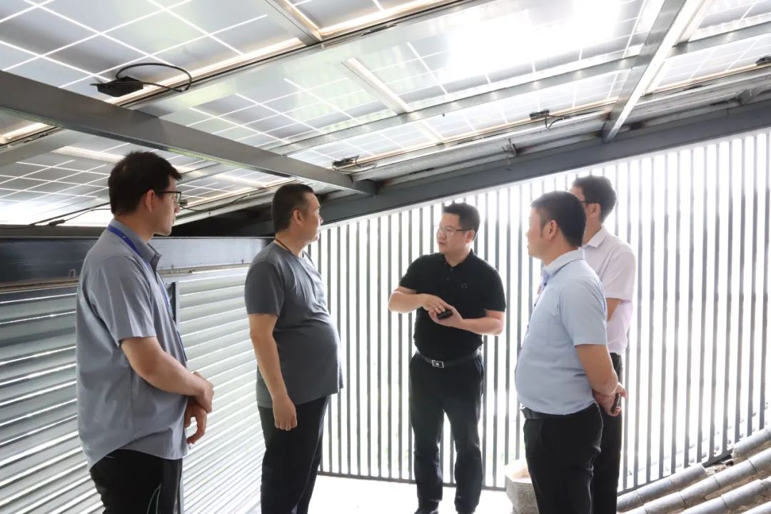 湖北DB视讯绿色能源有限公司