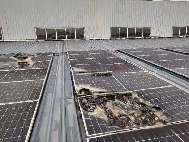 湖北DB视讯绿色能源有限公司