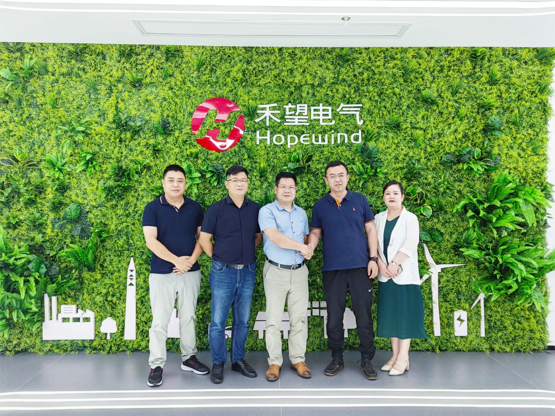 湖北DB视讯绿色能源有限公司