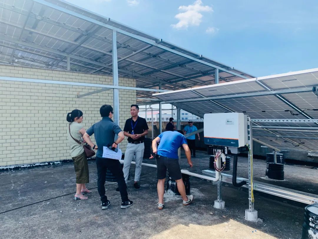 湖北DB视讯绿色能源有限公司